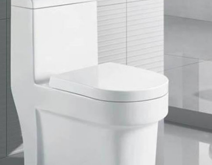 天津东丽区马桶疏通哪家好