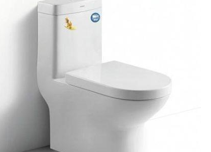 天津东丽区疏通马桶报价