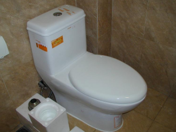 天津东丽区疏通马桶的公司电话