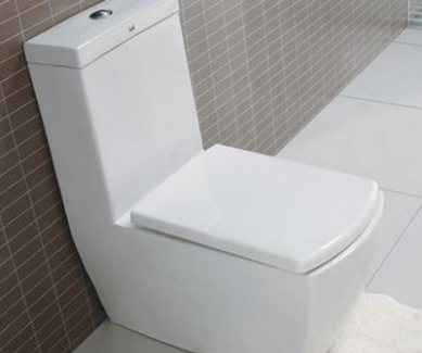 天津东丽区疏通马桶多少钱