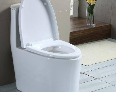 天津东丽区清抽化粪池哪家好